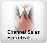 Channel Sales Executive