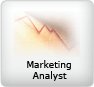 Marketing Analyst