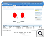Manager Console