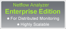 NetFlow Analyzer Enterprise