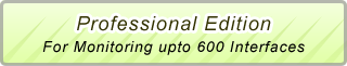 Professional Edition - NetFlow Analyzer Professional Edition - NetFlow Analyzer
