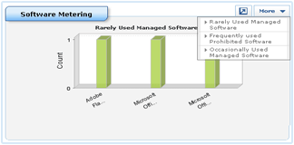IT Asset Management Software- Software Metering