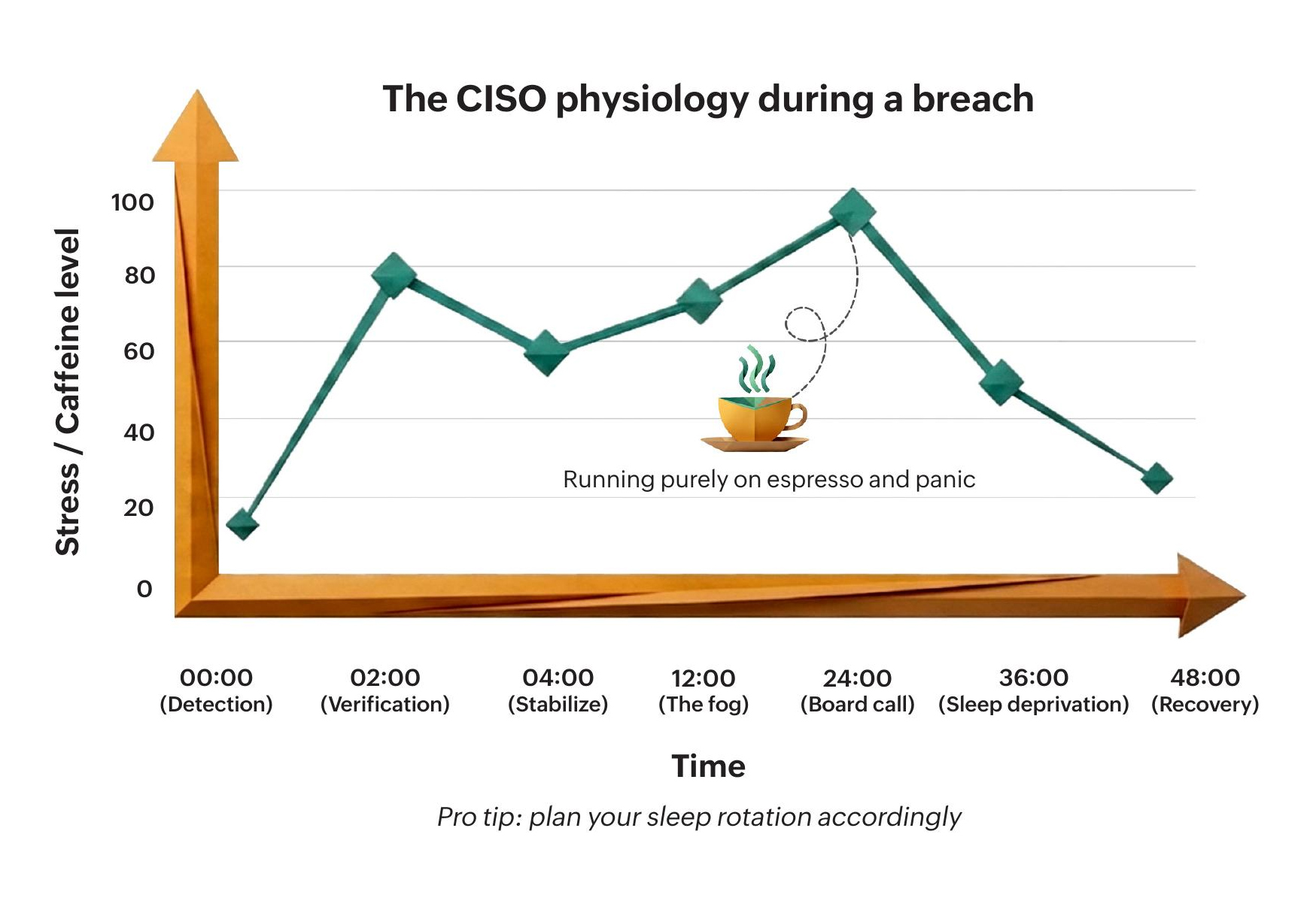 CISO physiology