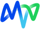 MVV Environment Ltd