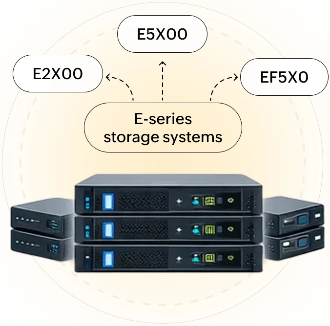 NetApp E-series storage systems
