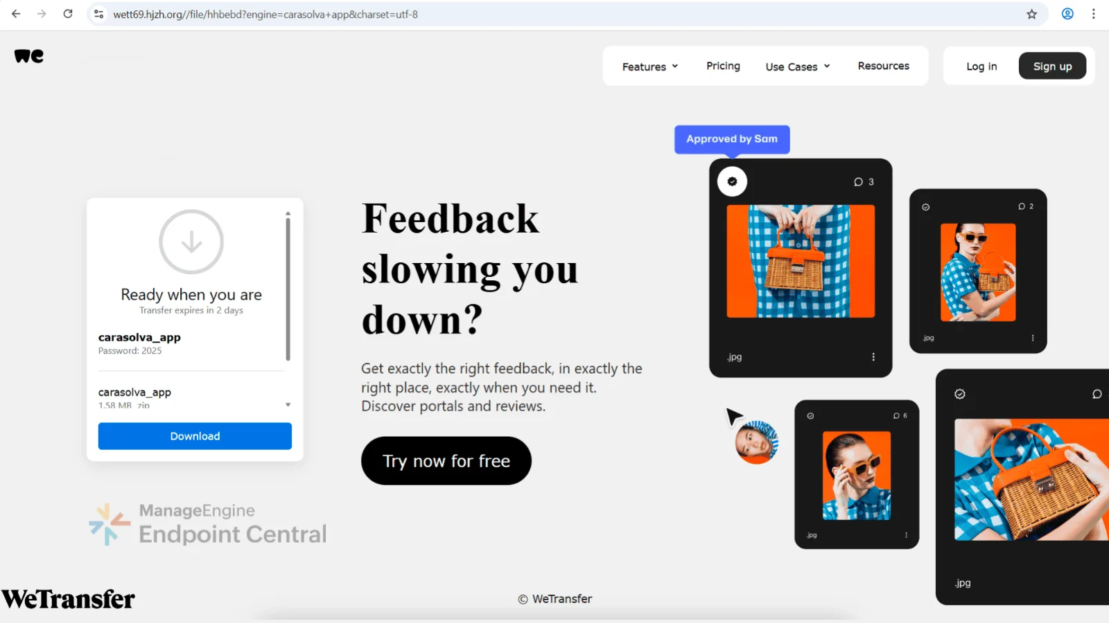 WeTransfer look-alike transfer page delivering the password-protected malicious archive