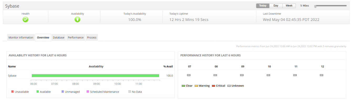 Sybase Monitoring - ManageEngine Applications Manager