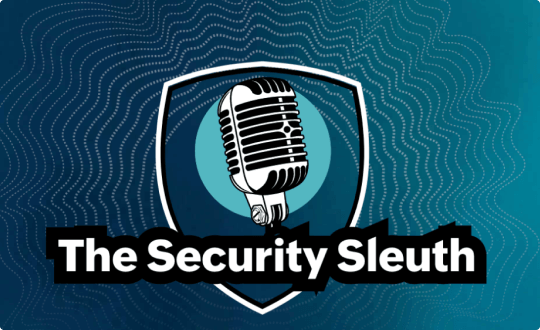 The Security Sleuth Podcast