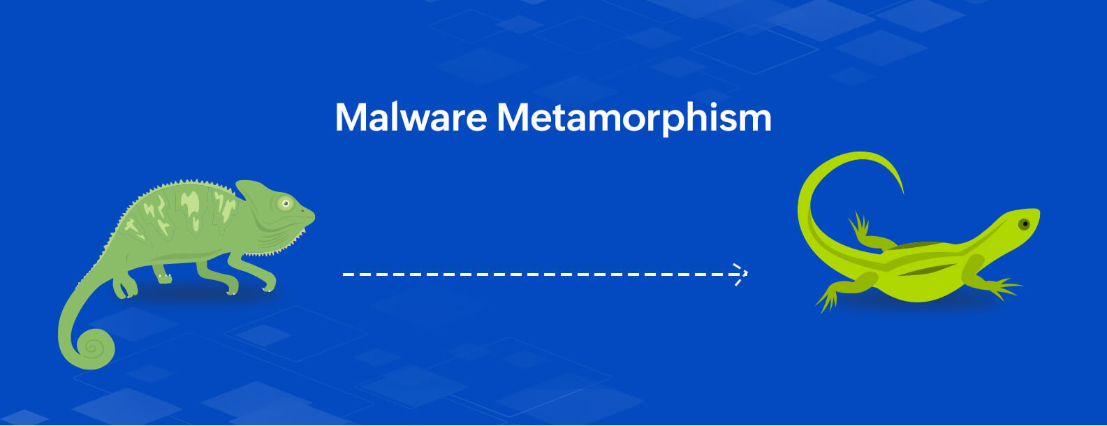 malware-polymorphism-and-metamorphism