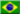 Brazilian Portuguese