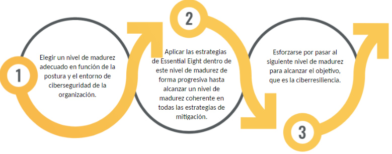 Implementación de Essential Eight
