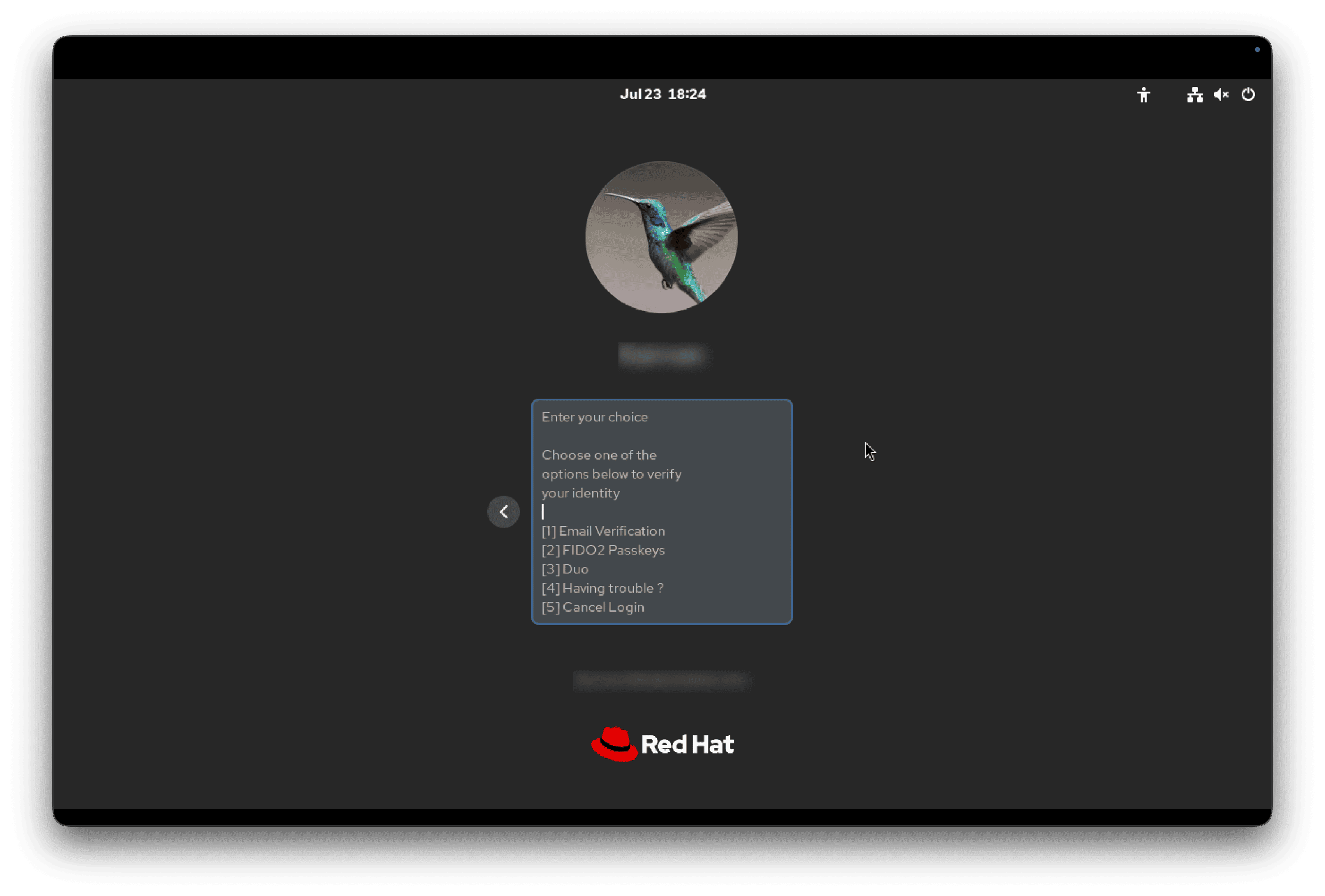 Fig 5: placeholder mode, with the prompt shown inside the text box.