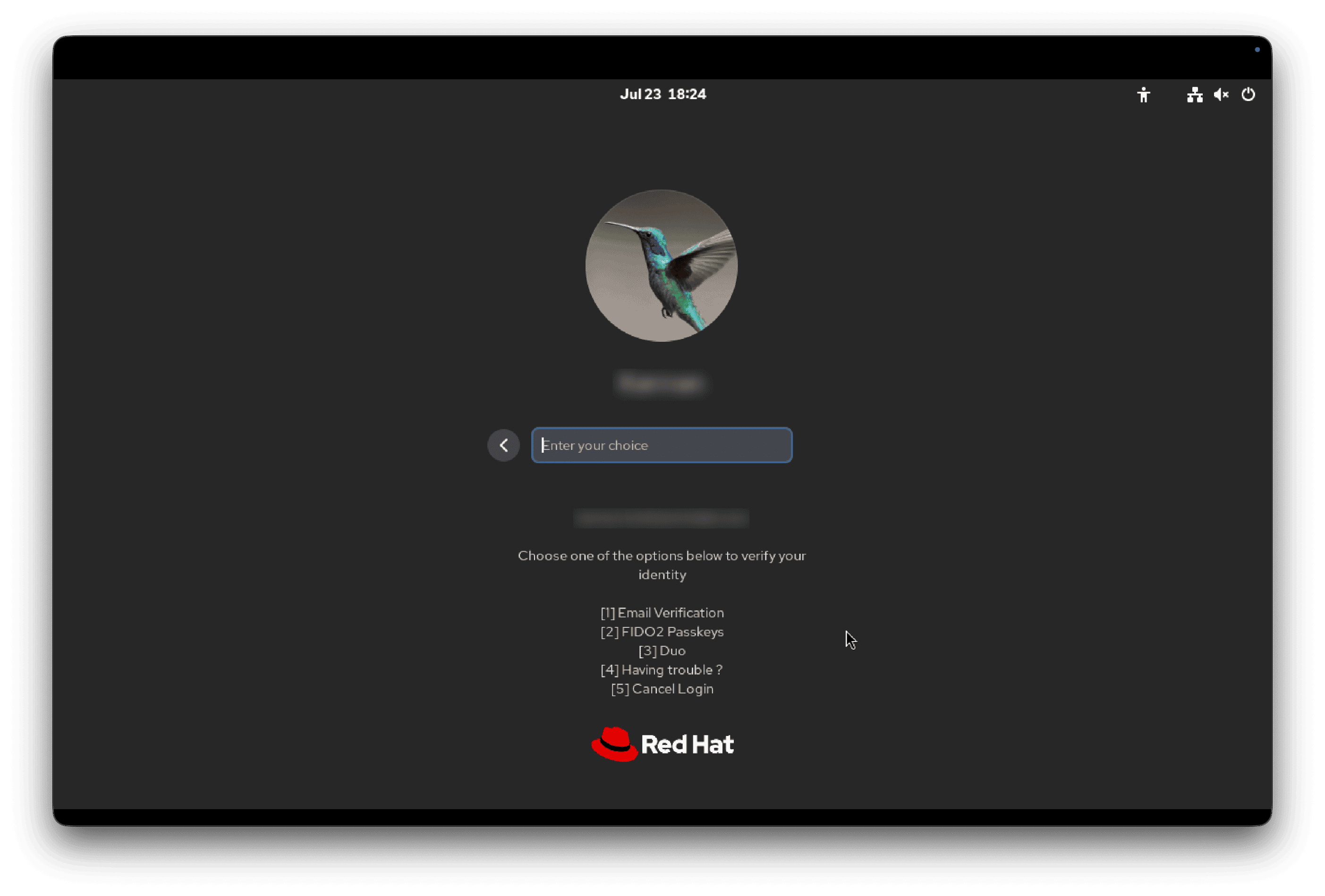 Fig 6: info mode, with the options listed below the text box.
