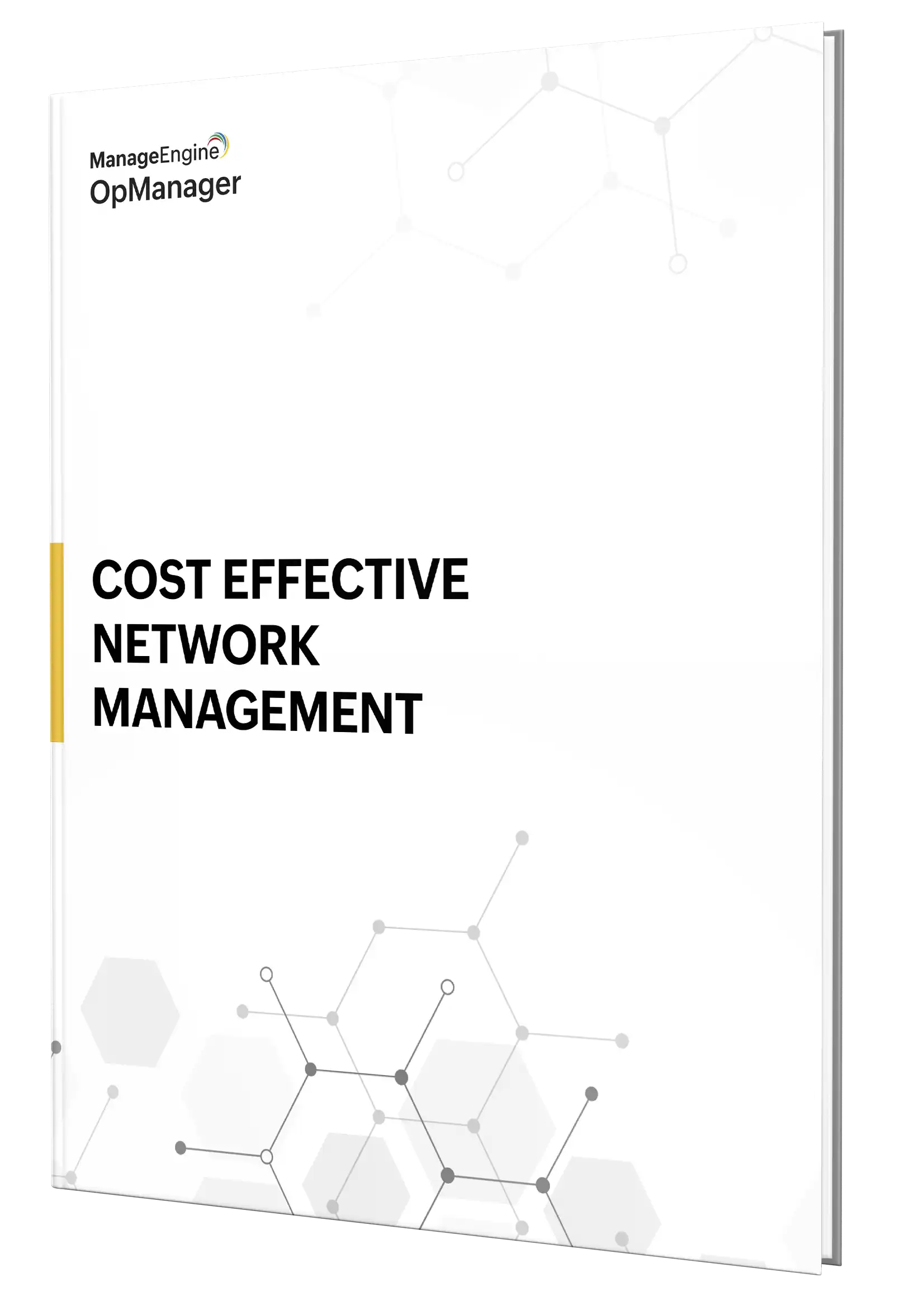 Cost Effective Network Management