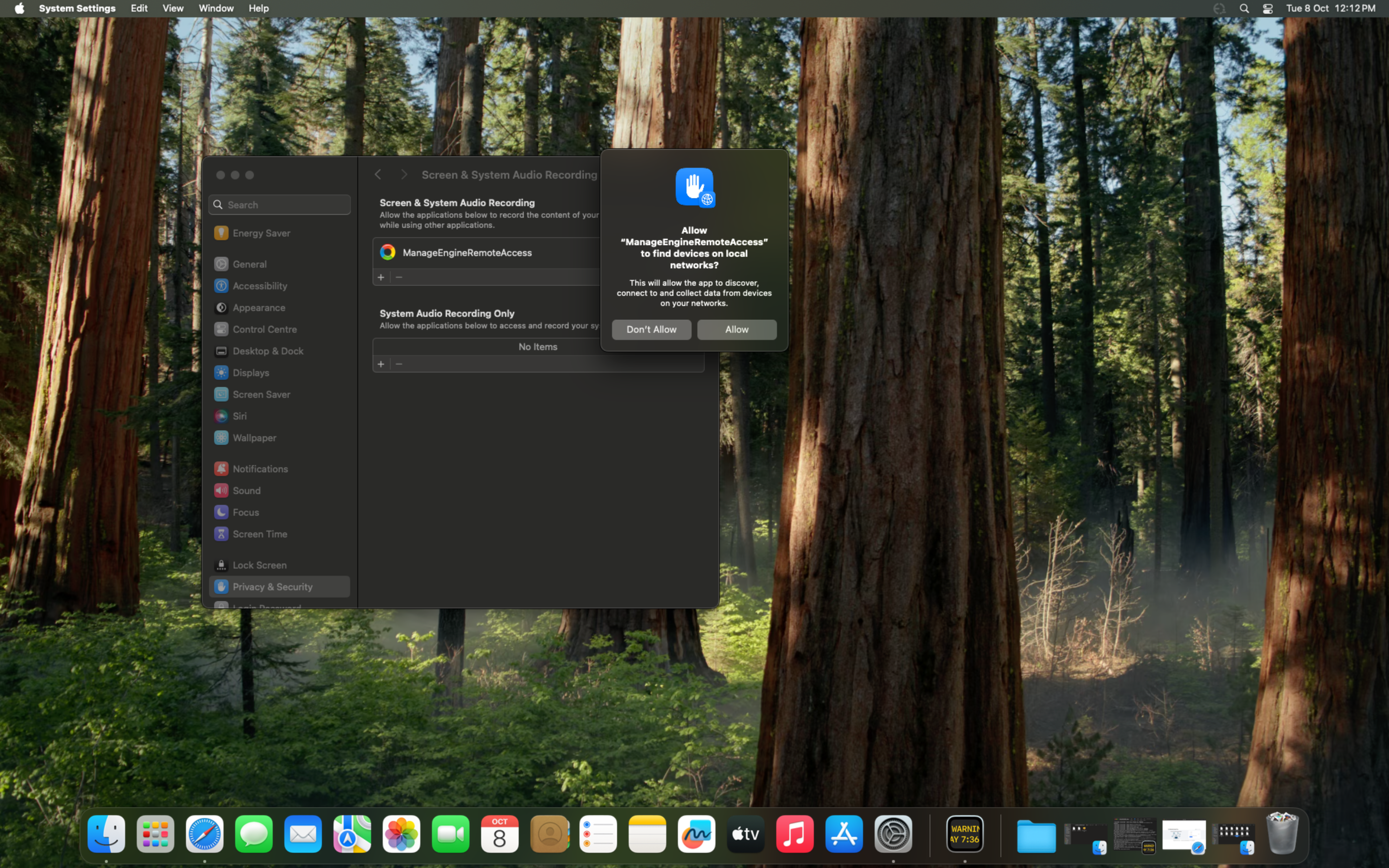 Allow Local Network Permission