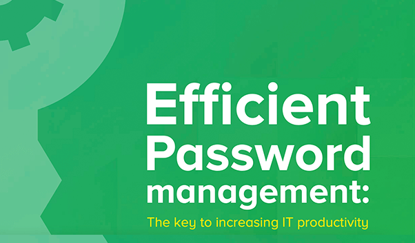Increasing productivity through efficient password management