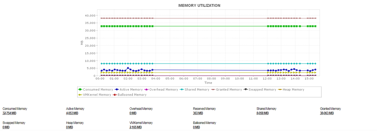 Graph representing a particular server's memory utilization over time