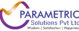 Parametric Solutions Inc.