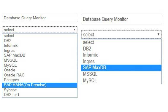 Assess your webpage performance with Webpage Analyzer