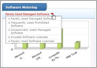 Software Metering Software Metering