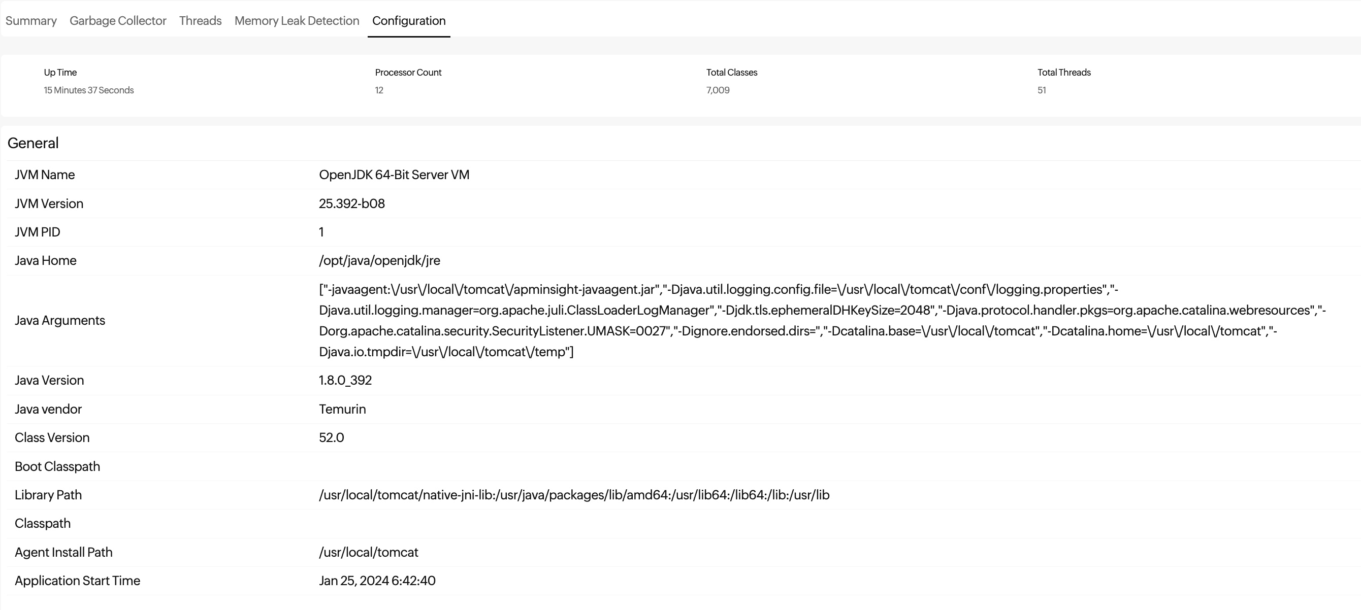 JVM configuration tab