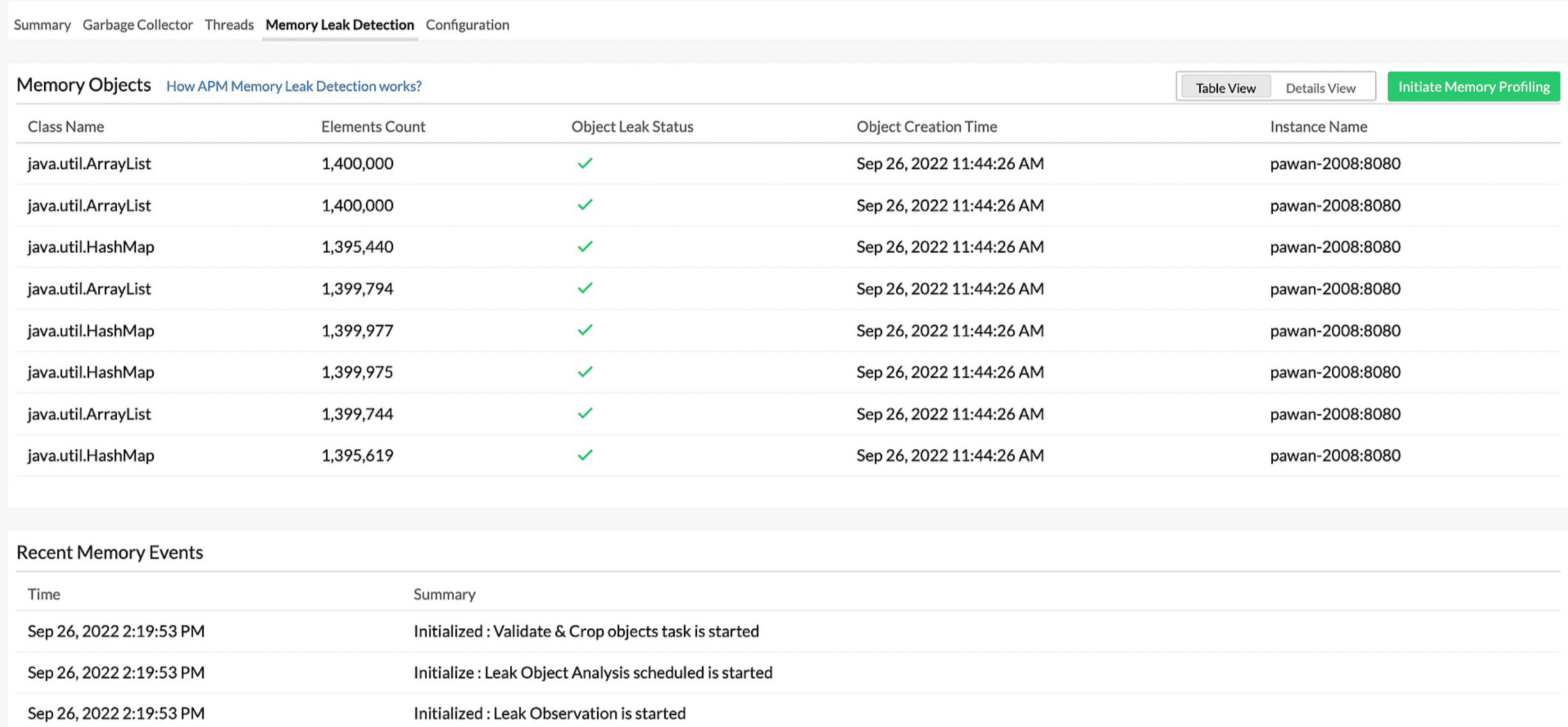 Memory leak detection