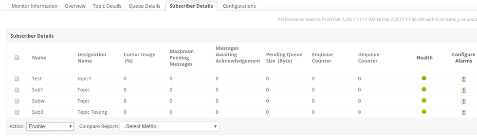 ActiveMQ Subscriber Details