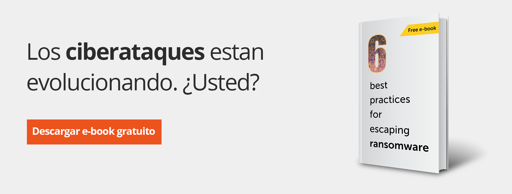 6 buenas prácticas para escapar del ransomware