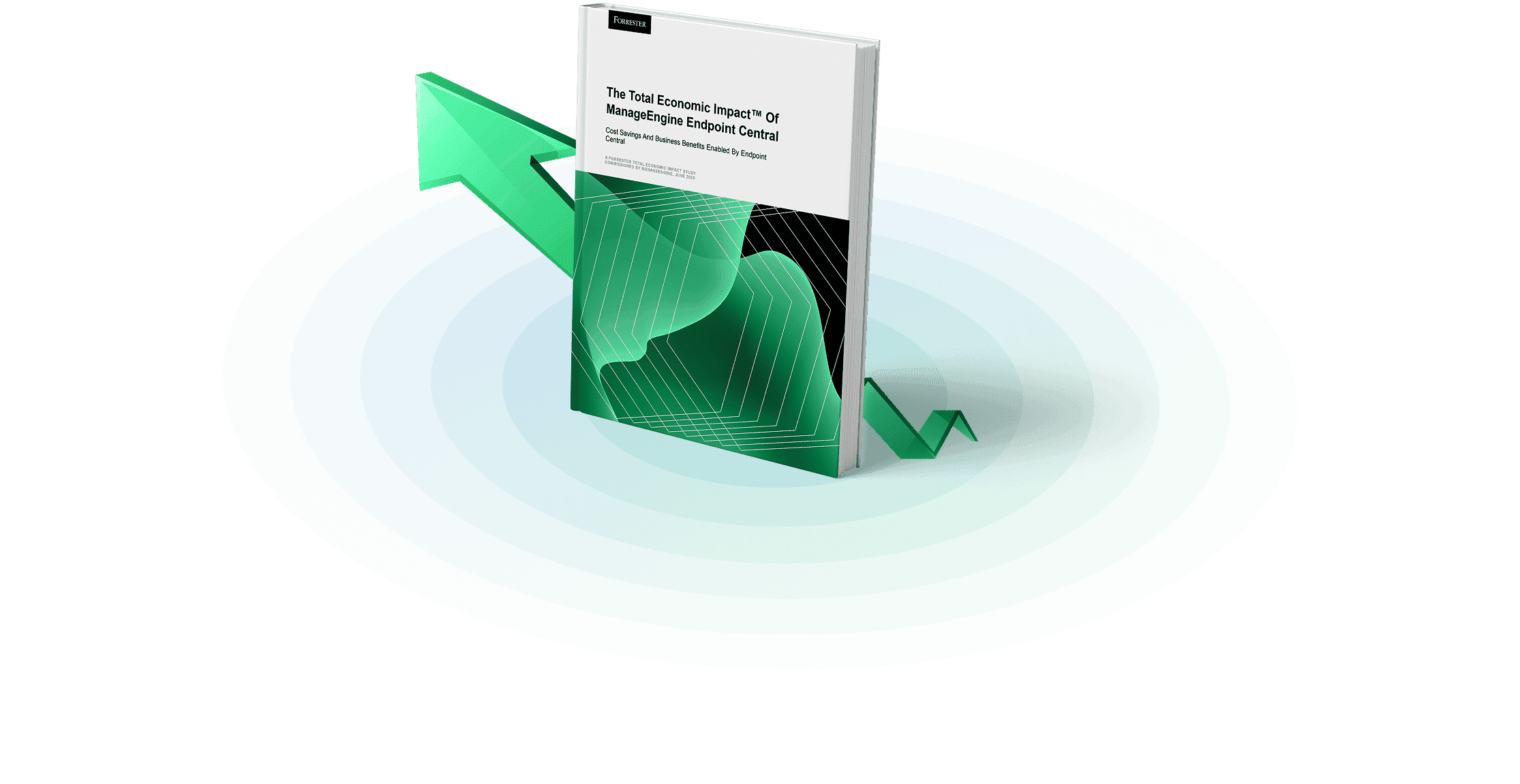 Endpoint Central TEI Overview