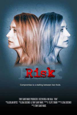 Risk (2017)