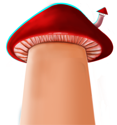 Mushroom