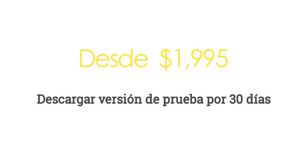 Professional Edition