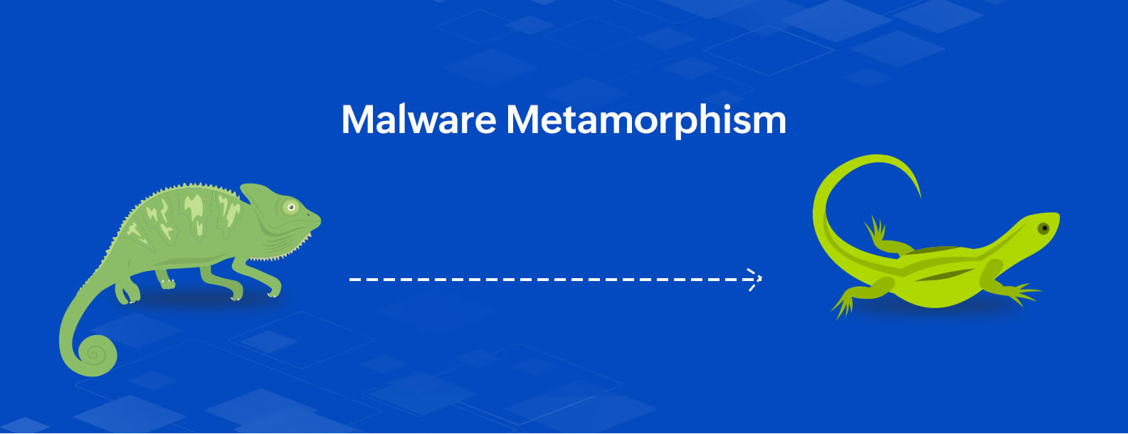 Understanding how Polymorphic and Metamorphic malware evades detection to  infect systems