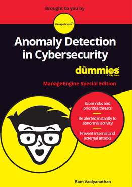 Anomaly Detection in Cybersecurity for Dummies 