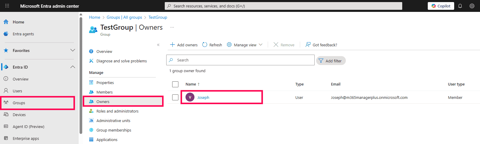 The Microsoft Entra admin center showing the Owners tab for a specific Microsoft 365 group, listing individual users assigned as owners of said group.