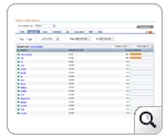 VoIP Monitor - Consulting NetFlow traffic reports