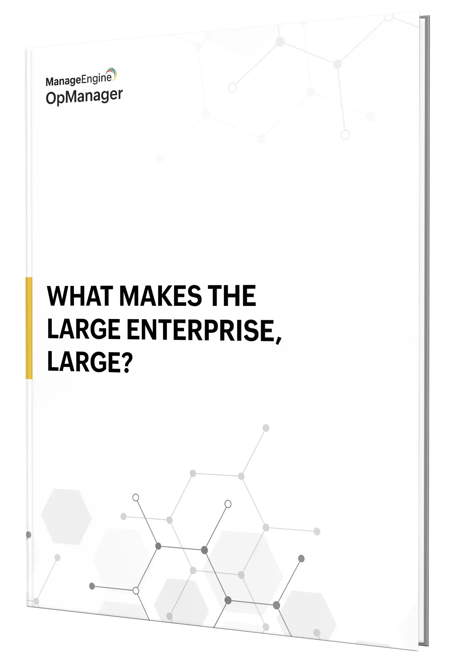What makes the large enterprise network management, large?
