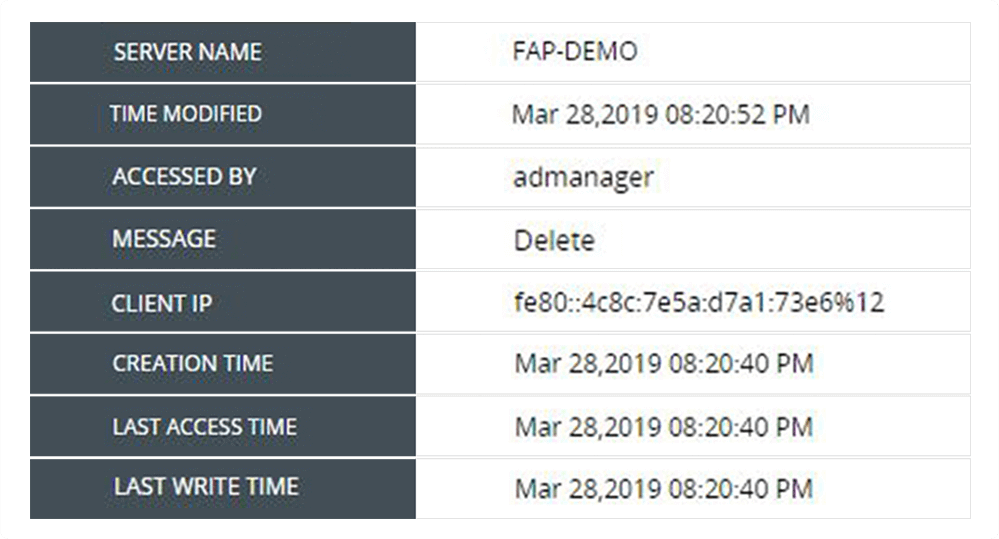 sporządzaj raporty o czasie dostępu do pliku