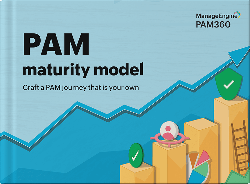 An all-encompassing, objective approach to PAM maturity