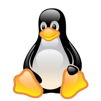Icono de gestión de vulnerabilidades de Linux