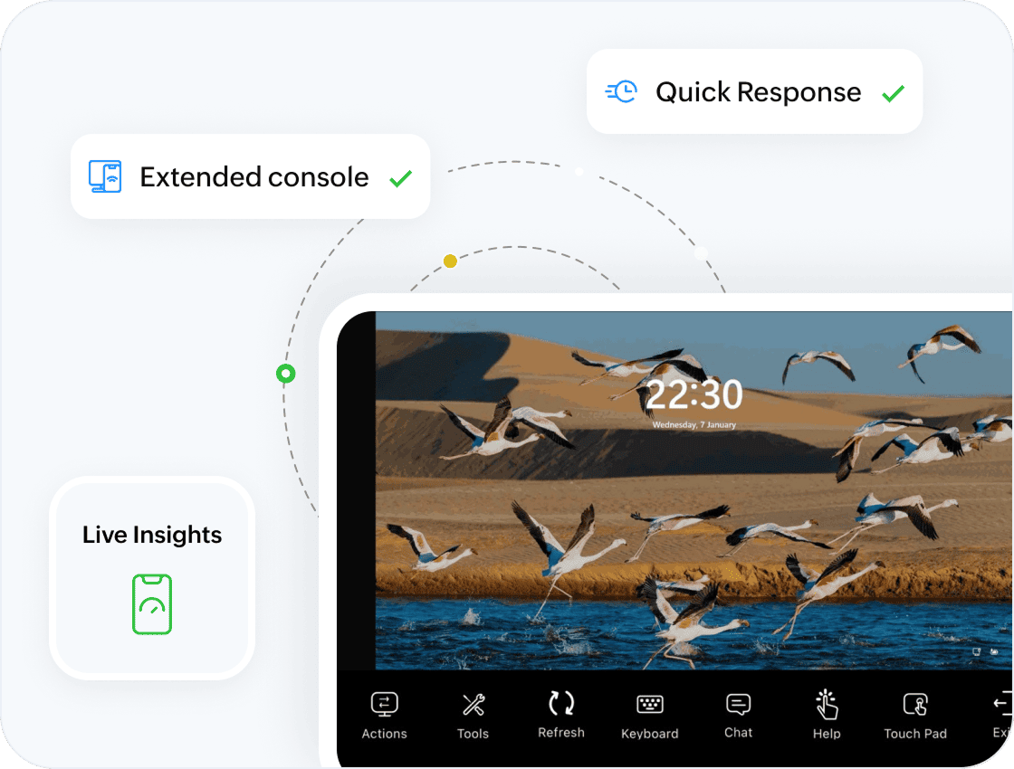 Web console companion