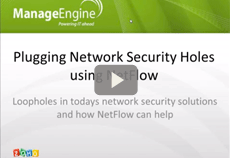 Plugging network security holes using NetFlow