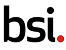 The British Standards Institution