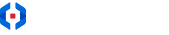 Netwrix Password Manager Alternative Logo