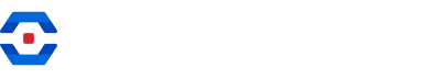 Netwrix Password Policy Enforcer Alternative Logo
