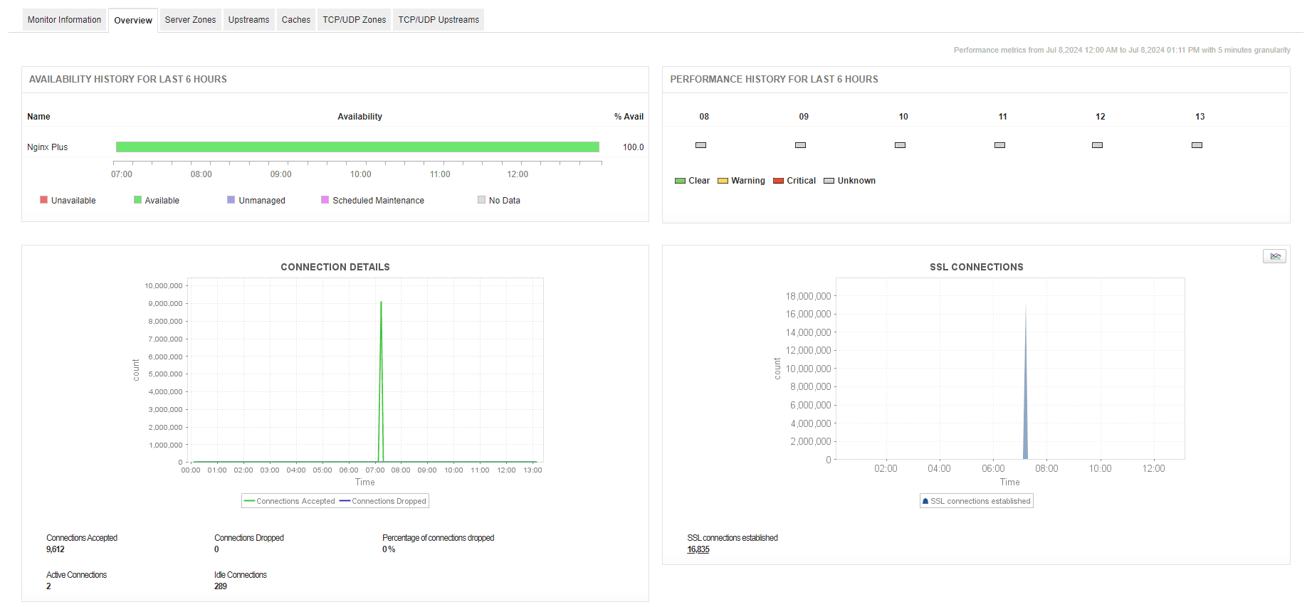 SSL health and upstream zones visualized in advanced NGINX monitoring dashboard