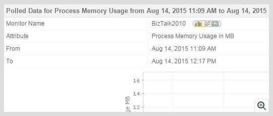 ManageEngine Applications Manager BizTalk Memory Usage