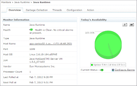 Applications Manager Java Runtime Monitoring